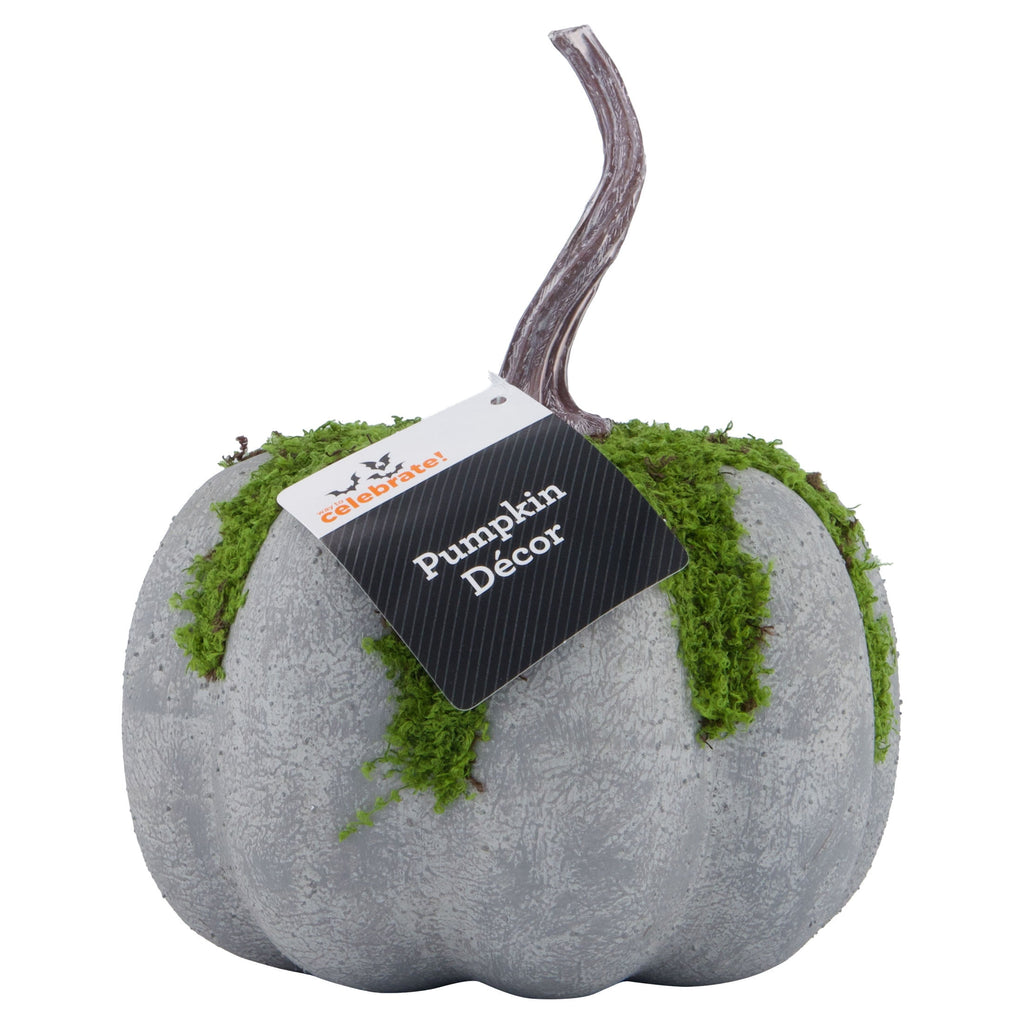 Mossy Pumpkin Decoration, Multicolor, 7.1", Halloween by Way To Celebrate