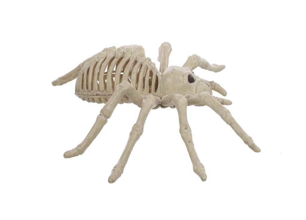 Official Crazybonez Faux Rat Skeleton