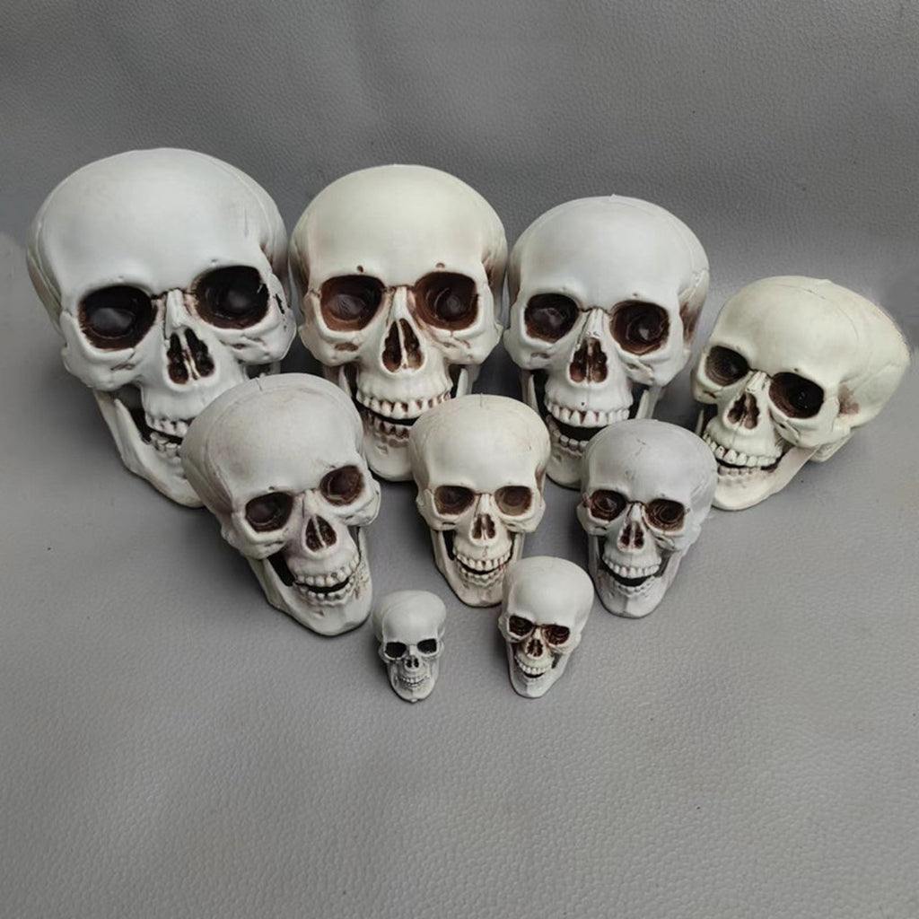 Halloween Skeleton Skull Head Statue - Realistic Human Skull Figurine for Decor, White Skull for Tabletop, Garden, Yard, and Outdoor Halloween Party Decoration (Various Sizes)