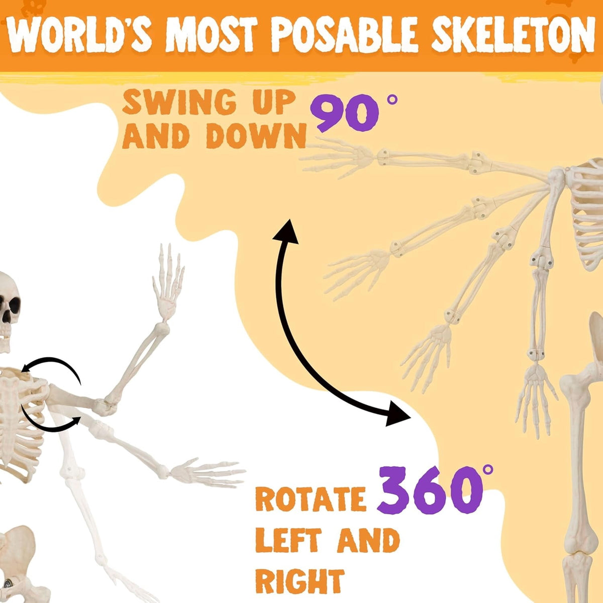 Joyfy 2 Pcs 24 Inch Halloween Skeleton Decor,2 FT Posable Skeleton Halloween Prop for Haunted House Indoor Outdoor Decoration Spooky Decor,Full Body with Movable Joints for Halloween Decoration