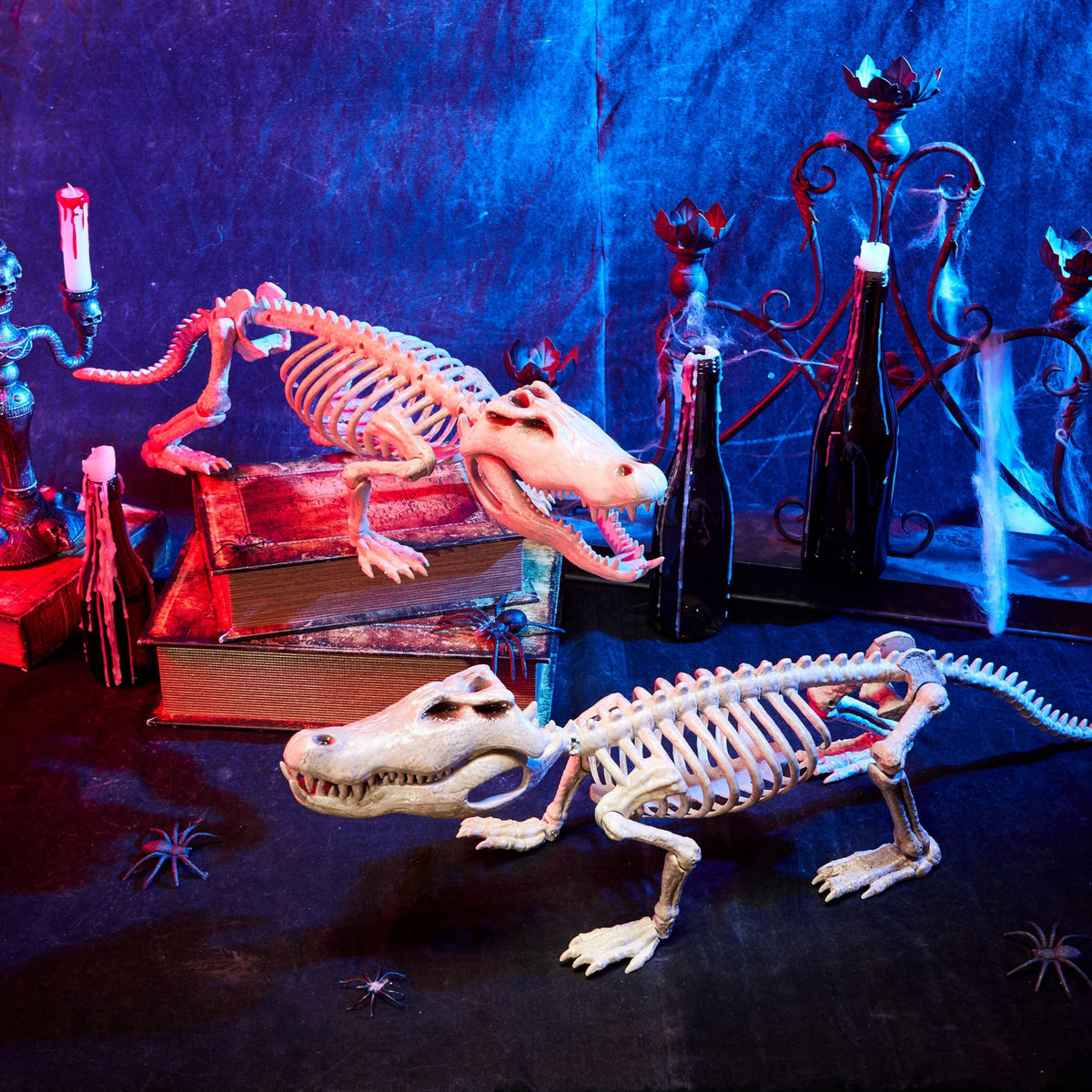 Joyfy 28" Crocodiles Skeleton Halloween Decorations with Posable Joints for Halloween Party Outdoor Indoor Decor