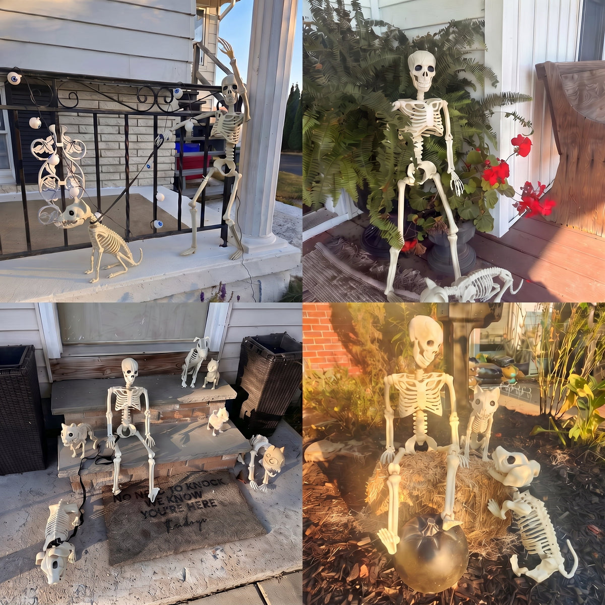 TETOU 2Pcs Halloween Human Cat Skeletons,35.4 Inch Realistic Full Body Movable Posable Skeleton for Halloween Garden Yard Porch Party Haunted Graveyard Indoor Outdoor Decororation