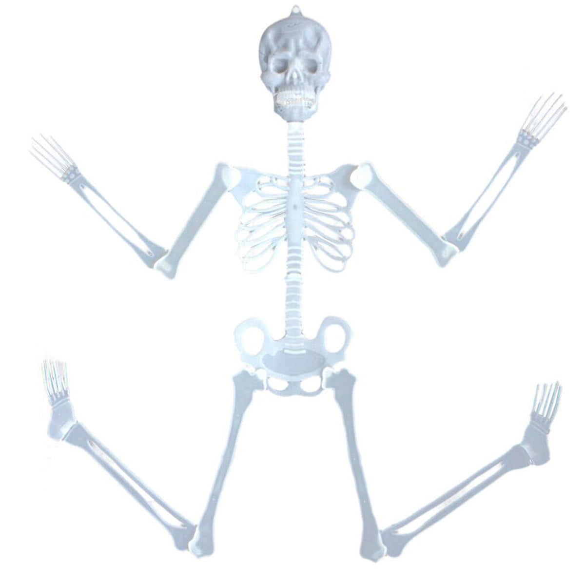 Darzheoy 35" Halloween Skeleton, Full Body Skeleton with Posable Movable Joints for Props Decorations