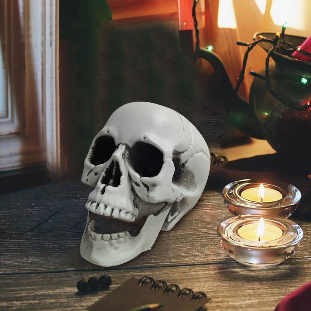 Darzheoy Halloween Skulls Halloween Skeletons Realistic Fake Simulation Human Skull Head Model Halloween Prop Realistic Mini Skeleton Spooky Halloween Decoration