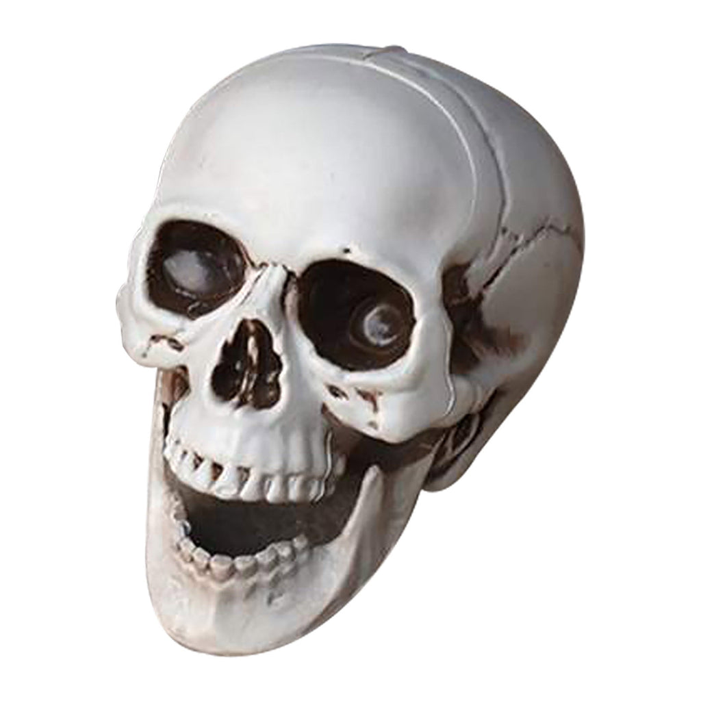 Darzheoy Halloween Skulls Halloween Skeletons Realistic Fake Simulation Human Skull Head Model Halloween Prop Realistic Mini Skeleton Spooky Halloween Decoration