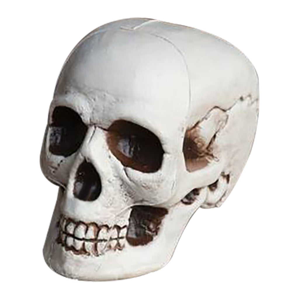 Darzheoy Halloween Skulls Halloween Skeletons Realistic Fake Simulation Human Skull Head Model Halloween Prop Realistic Mini Skeleton Spooky Halloween Decoration
