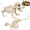 Halloween Animal Skeletons Cats Dog Skeletons Pose-N-Stay Plastic for Yard Garden Lawn Halloween Party Favors Decoration 2-Pack