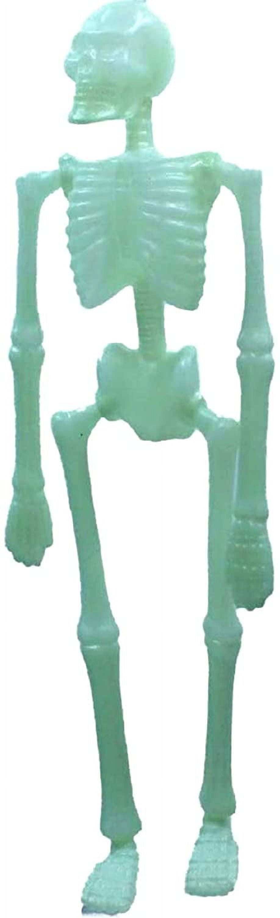 Halloween Glow in Dark Human Skeletons Dangling Articulate Plastic 18”H x 8”W x 2”D