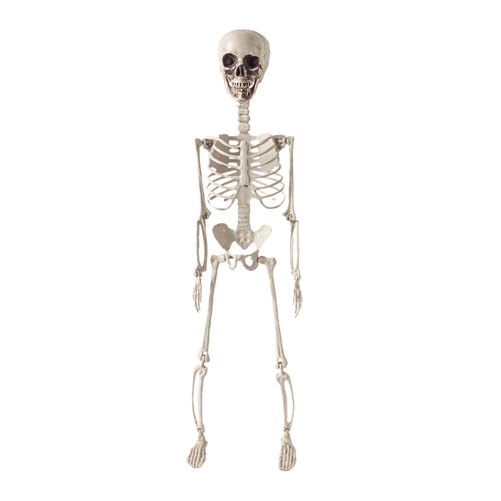 Realistic White Plastic Half Torso Skeleton Tabletop Prop, Detailed Human Half Skeleton Halloween Desktop Decor, Weatherproof Indoor Outdoor Reusable Spooky Party Ornament
