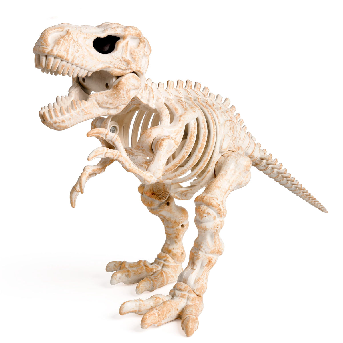 Joyfy 2 Pcs Duck Skeleton Halloween Decoration,4.5 Inch Posable Plastic Animals Halloween Skeleton for Indoor Outdoor Halloween Decorations,Haunted House Party Props