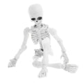 Mini Posable Skeleton Decor - 3.54" Halloween Skeleton Figures with Movable Joints for Spooky Tabletop Displays & Party Decor