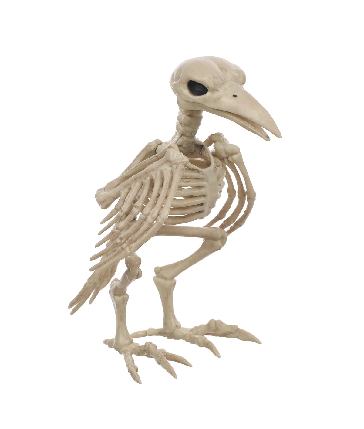 Way to Celebrate Faux Skeleton Fish Halloween Decoration