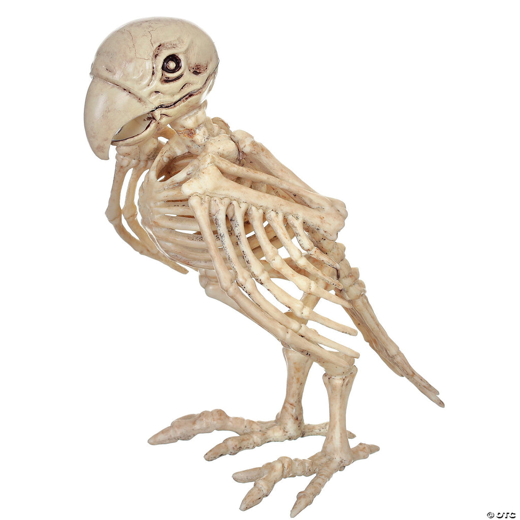 Official Crazybonez Faux Bat Skeleton