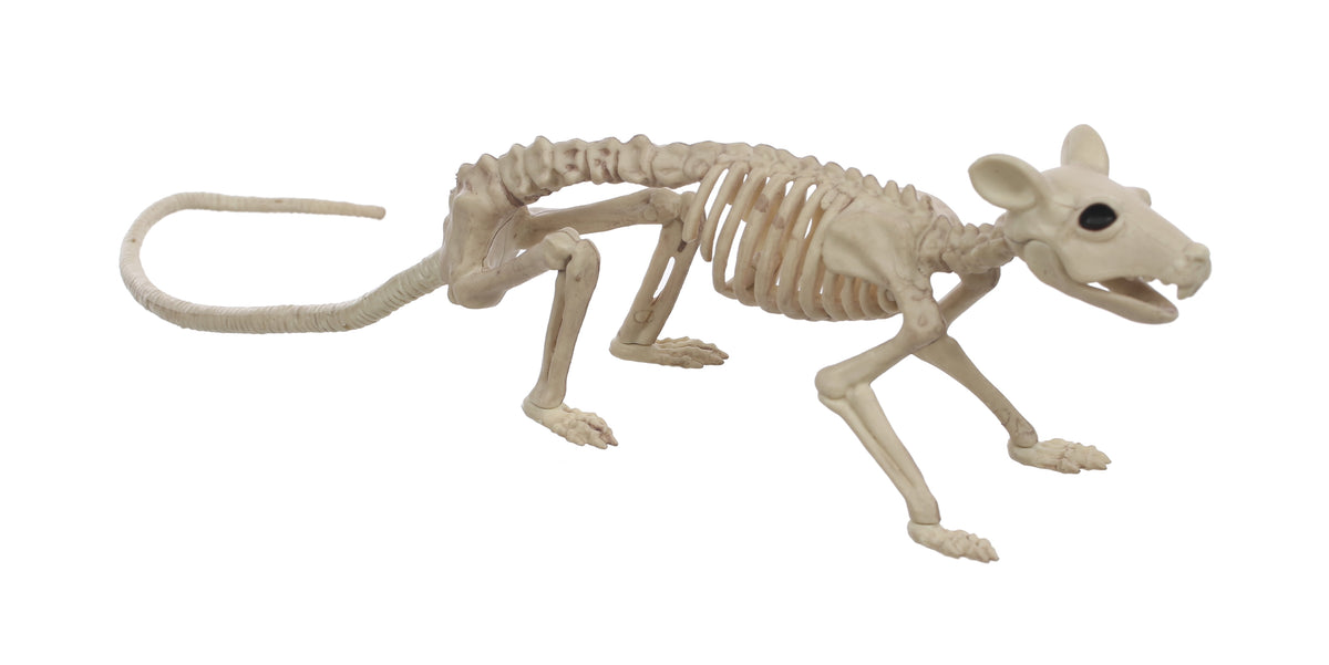 Official Crazybonez Faux Rat Skeleton