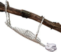 Halloween Sloth Skeleton (Giant 2 Ft Long) with Easy-To-Hang Limb Straps -Weather Resistant Yard, Lawn and Tree, Posable Indoor and Outdoor Party Prop