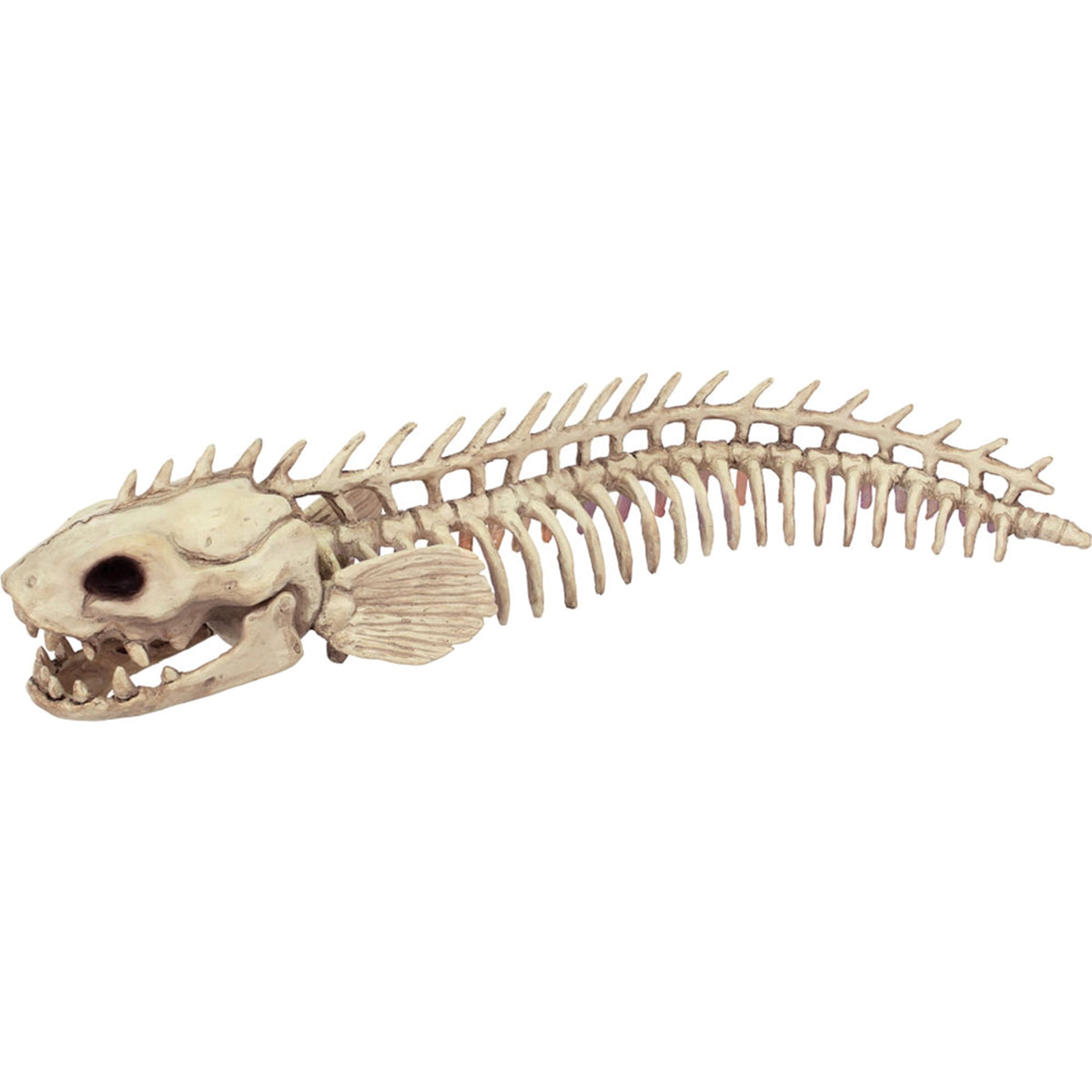 Seasons USA Eel Skeleton Prop Halloween Decoration -