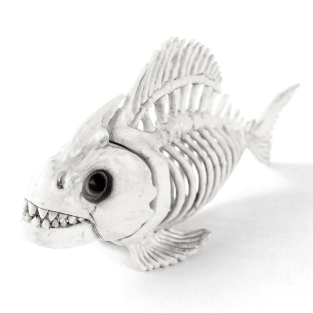 Skeleton Fish Halloween Decor Model, Animal Carp Skull Fishes Bone Art Ornaments, for Home Room B