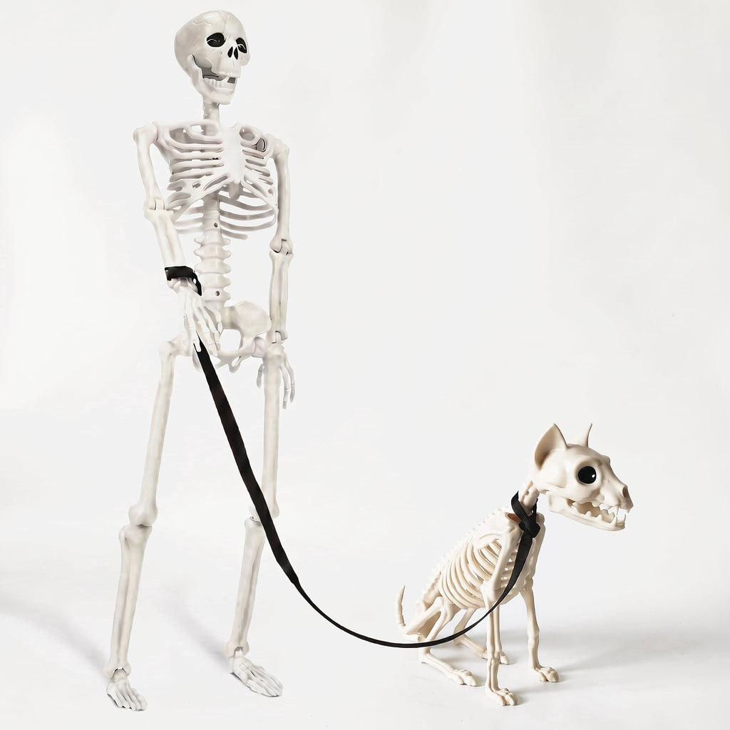 TETOU 2Pcs Halloween Human Cat Skeletons,35.4 Inch Realistic Full Body Movable Posable Skeleton for Halloween Garden Yard Porch Party Haunted Graveyard Indoor Outdoor Decororation
