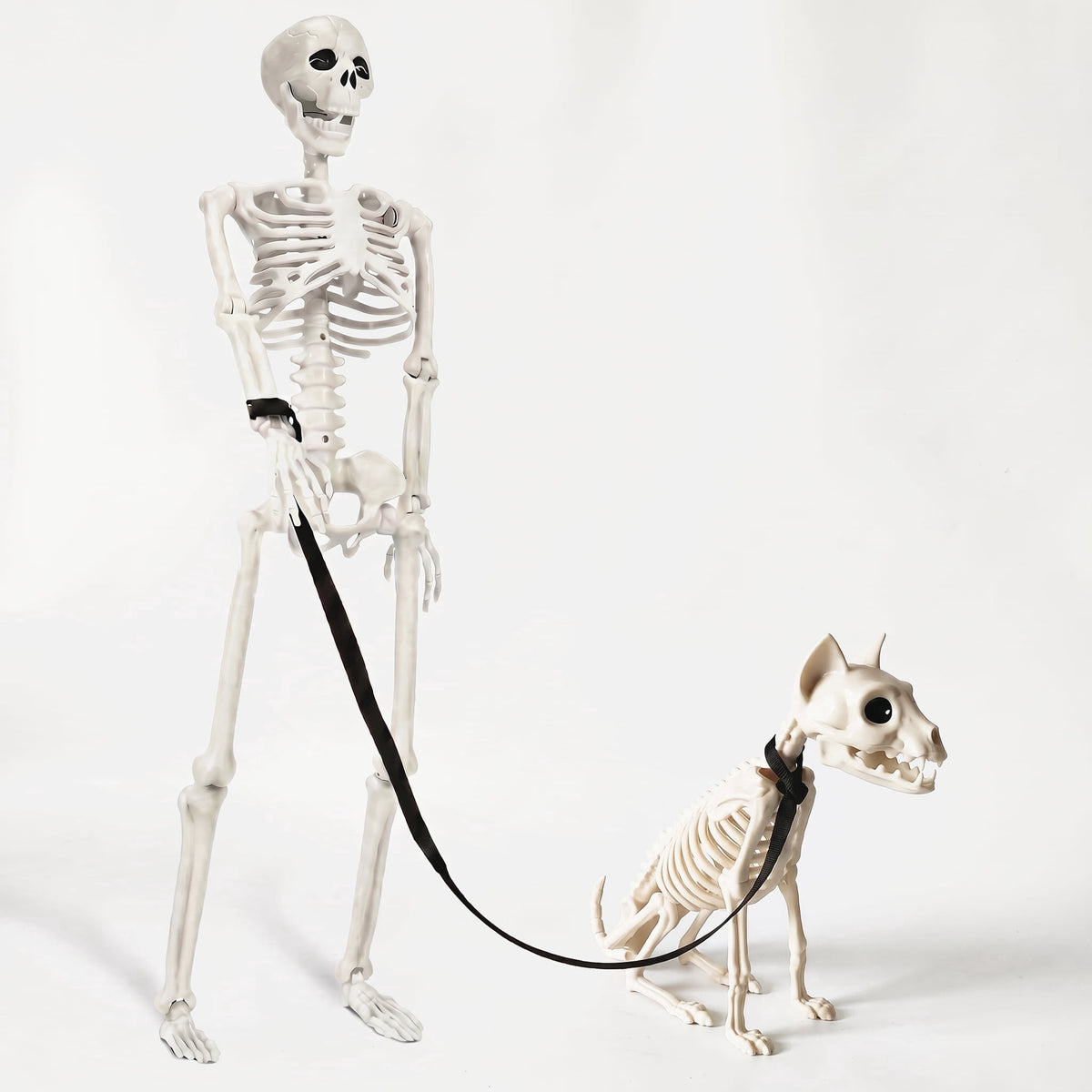 TETOU 2Pcs Halloween Human Cat Skeletons,35.4 Inch Realistic Full Body Movable Posable Skeleton for Halloween Garden Yard Porch Party Haunted Graveyard Indoor Outdoor Decororation