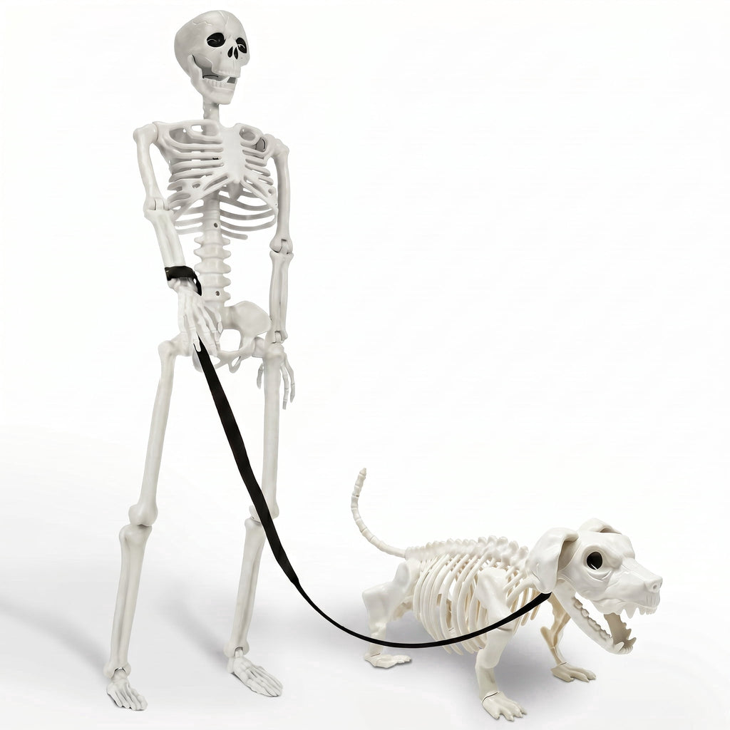 TETOU 2Pcs Halloween Human Cat Skeletons,35.4 Inch Realistic Full Body Movable Posable Skeleton for Halloween Garden Yard Porch Party Haunted Graveyard Indoor Outdoor Decororation
