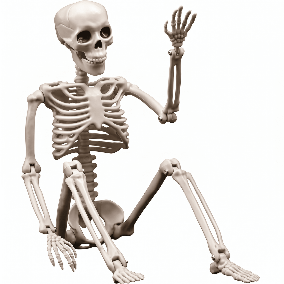 TETOU Halloween Pumpkin Skeleton Decorations with Posable Joints Skeletons for Party Haunted House Props Decorations, 2 Packs
