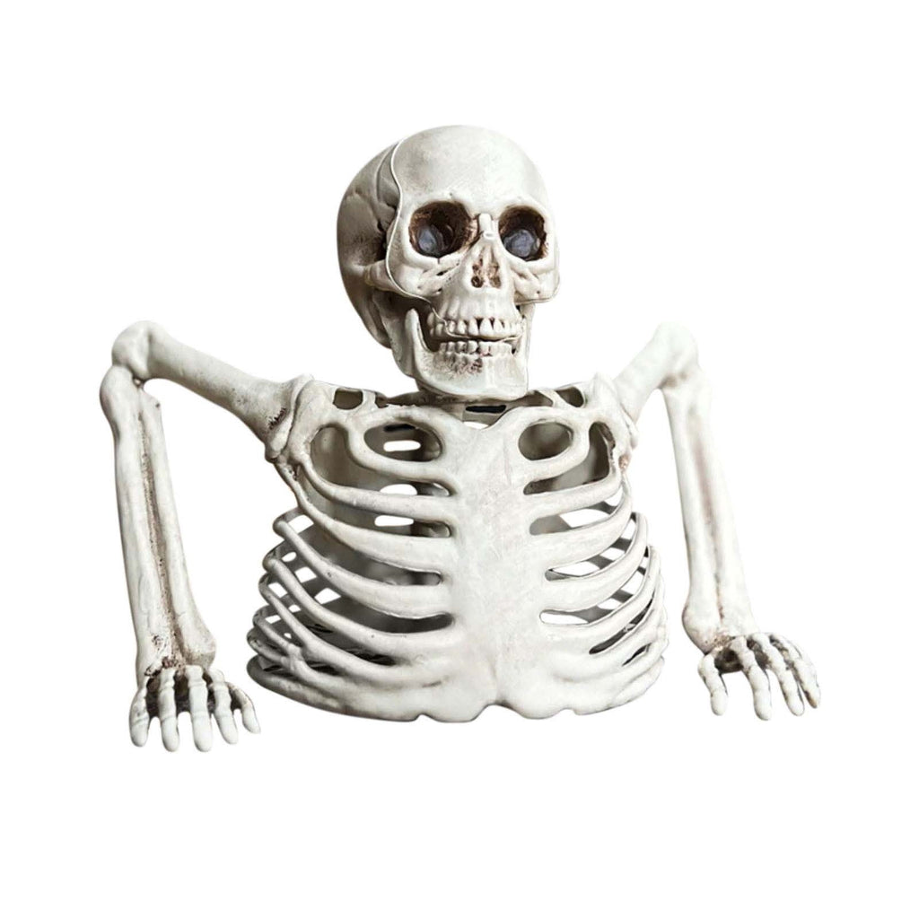 Realistic White Plastic Half Torso Skeleton Tabletop Prop, Detailed Human Half Skeleton Halloween Desktop Decor, Weatherproof Indoor Outdoor Reusable Spooky Party Ornament