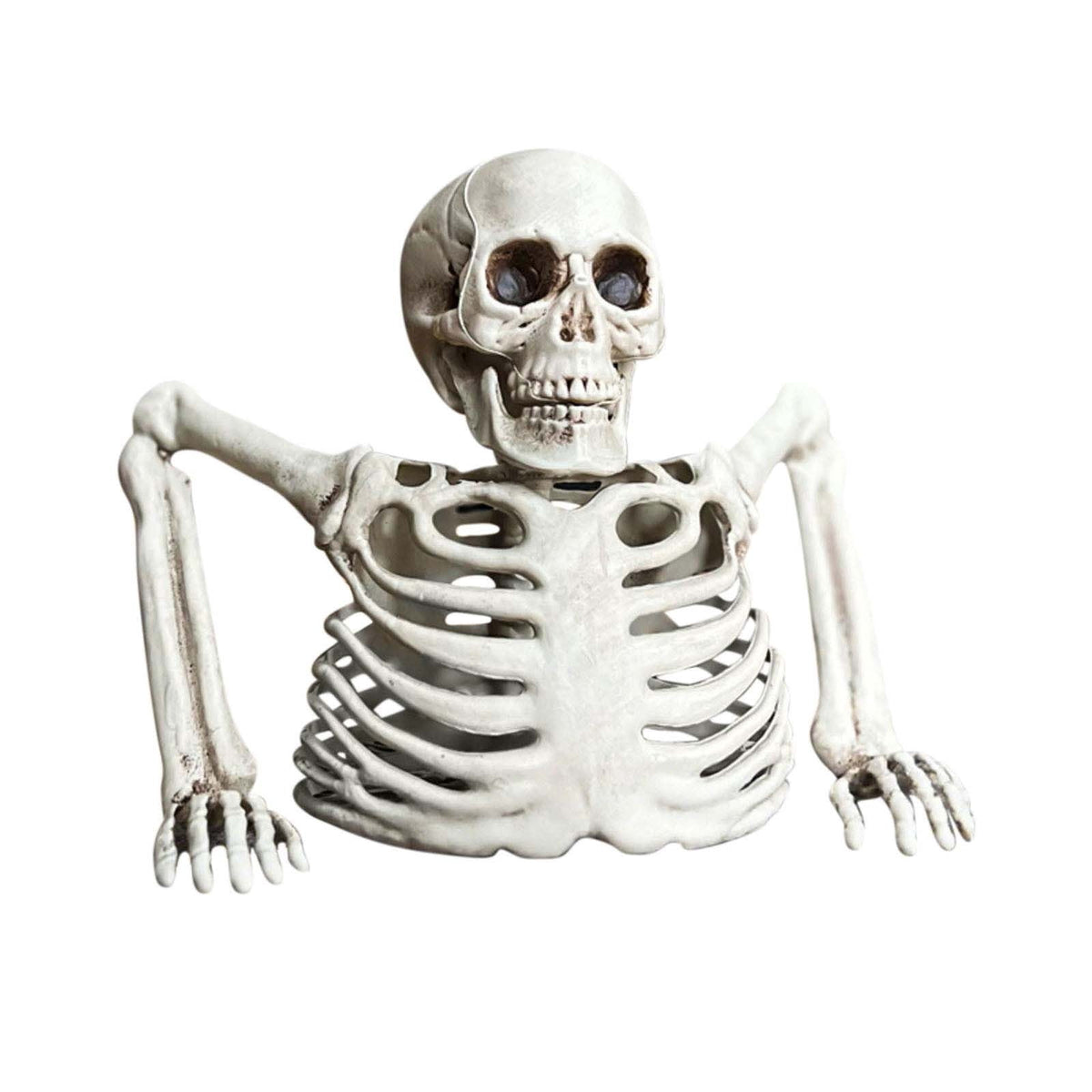 Realistic White Plastic Half Torso Skeleton Tabletop Prop, Detailed Human Half Skeleton Halloween Desktop Decor, Weatherproof Indoor Outdoor Reusable Spooky Party Ornament