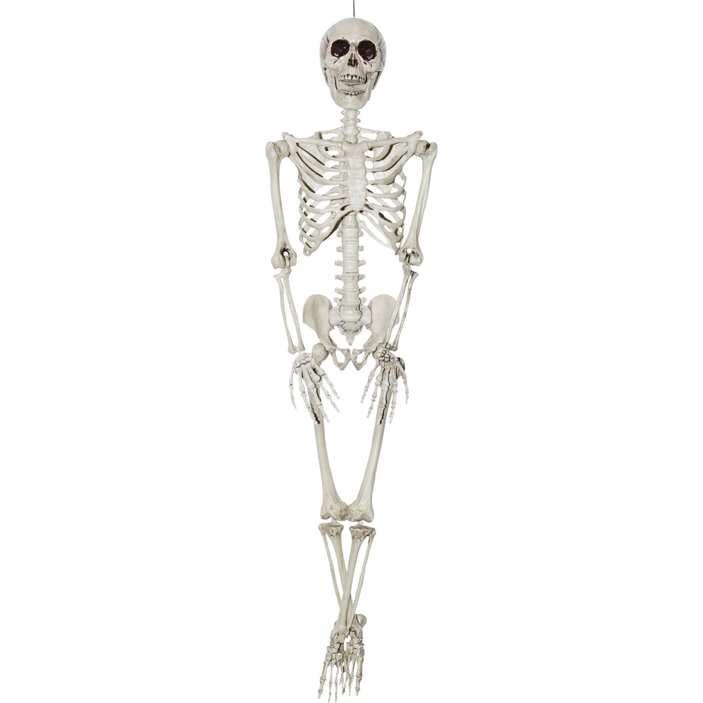 Realistic 36" Plastic Skeleton Halloween Décor