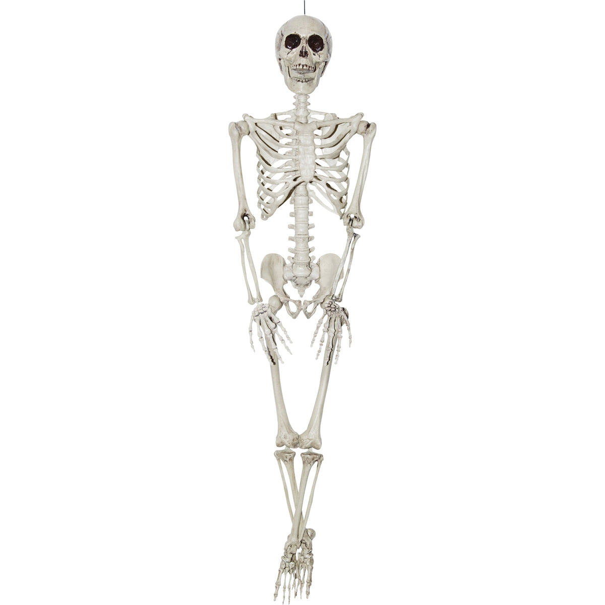 Realistic 36" Plastic Skeleton Halloween Décor