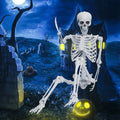 Yedigre 5.4FT HalloweenSkeleton Decor, Movable Joints Realistic Full Body Bones Skeleton Prop, No Light