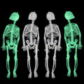 Zatoumnr 4pcs Halloween Small Skeletons Decoration 7.9 Inch Glow in The Dark Plastic Skeletons Figurine Luminous Pose able Mini Skeleton for Halloween Party Favor Decor