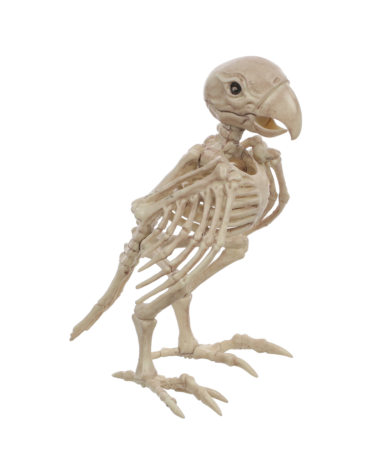 Official Crazybonez Faux Bat Skeleton