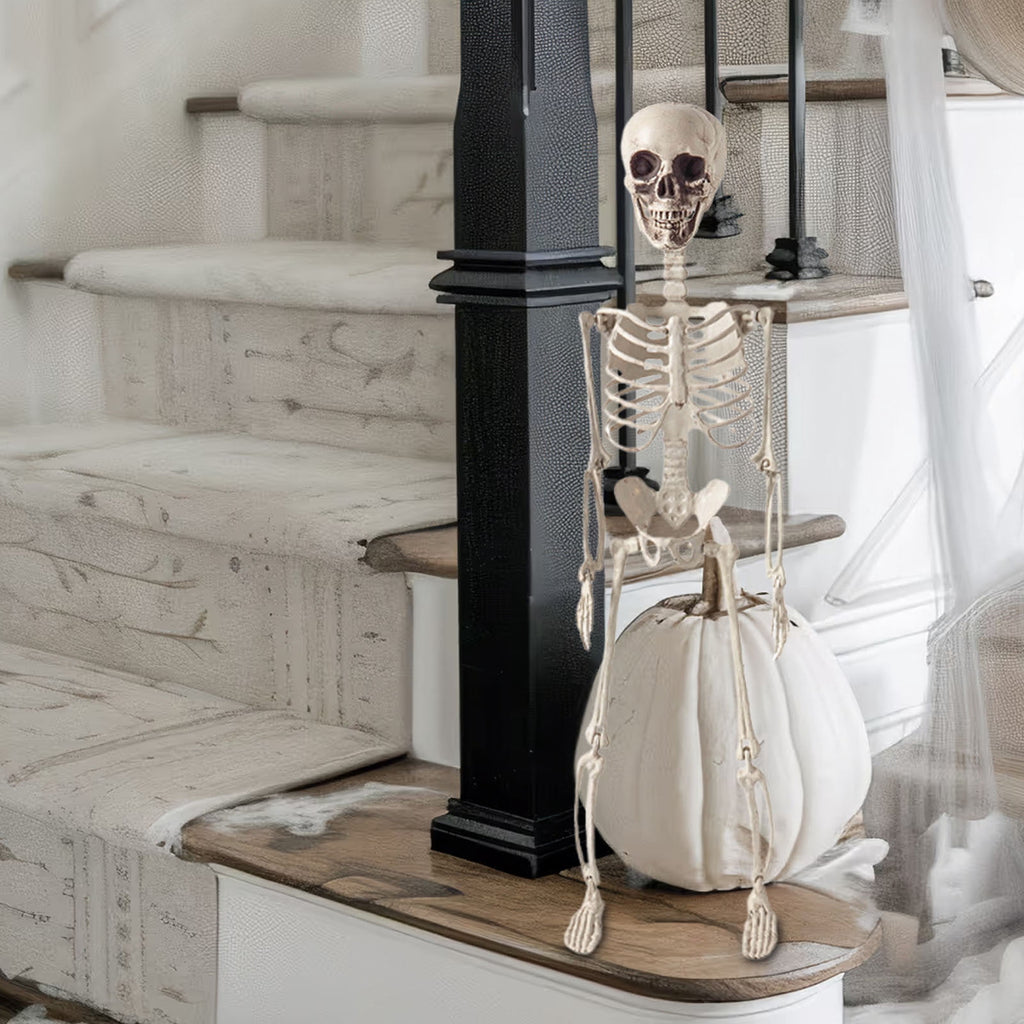 Beollynier 27.5in Detachable Skeleton Model Anatomy Educational Tool Resin Material for Halloween Desk Decor Human Body Teaching Prop
