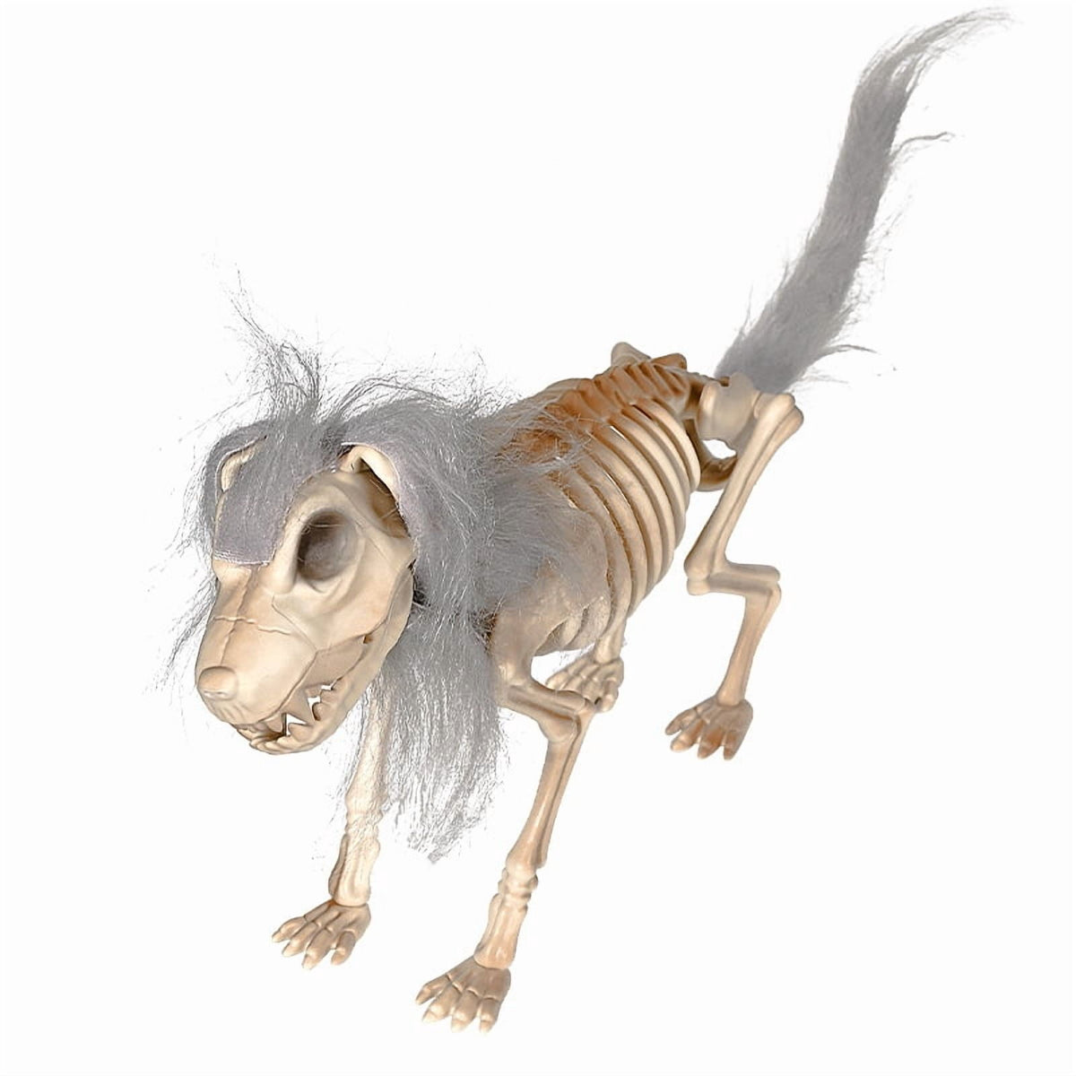 14.9 inches Sitting Skeleton Dog,Plastic Hairy Animal Skeleton Decorations,Gothic Posable Dog Body, Spooky Party Favors,Halloween Full Body Posable Joints Hairy Dog Skeleton Graveyard Party Decor