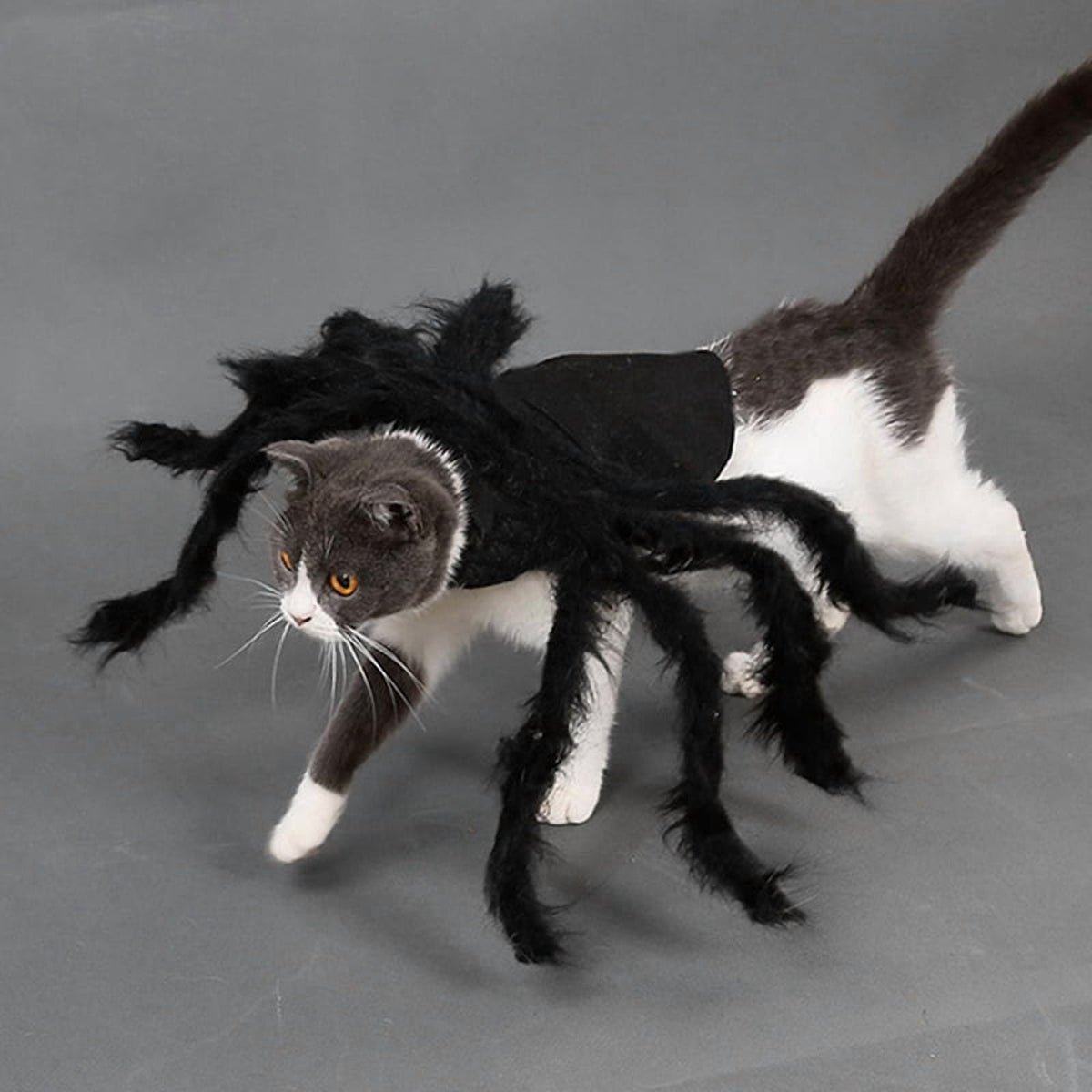 Halloween Spider Decorations Realistic Hairy Spiders Spider Props for Indoor, Outdoor and Yard Creepy Decor 75CM (30 Inch)