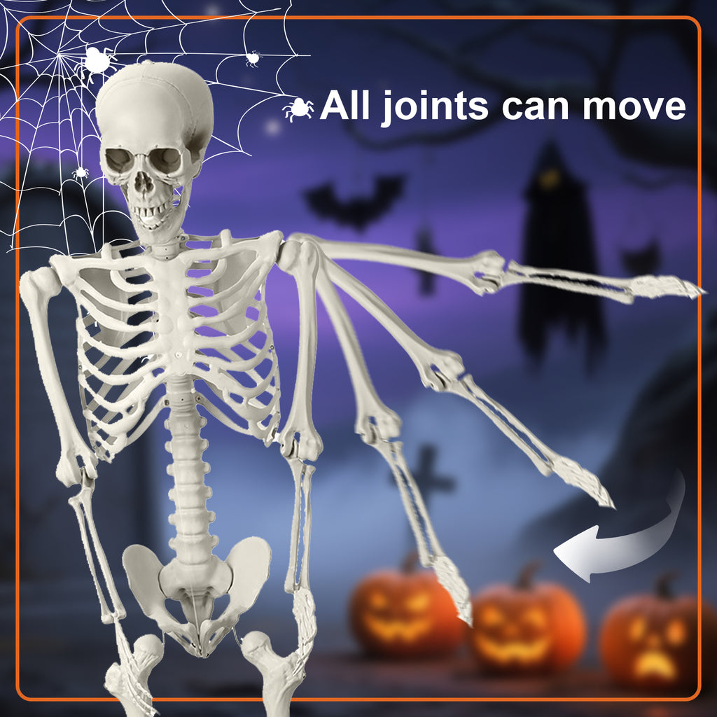 Cixusio 5.4Ft/165cm Halloween Skeleton Full Body Life Size Human Bones with Movable Joints for Indoor Outdoor Haunted House Party Halloween Props Decorations