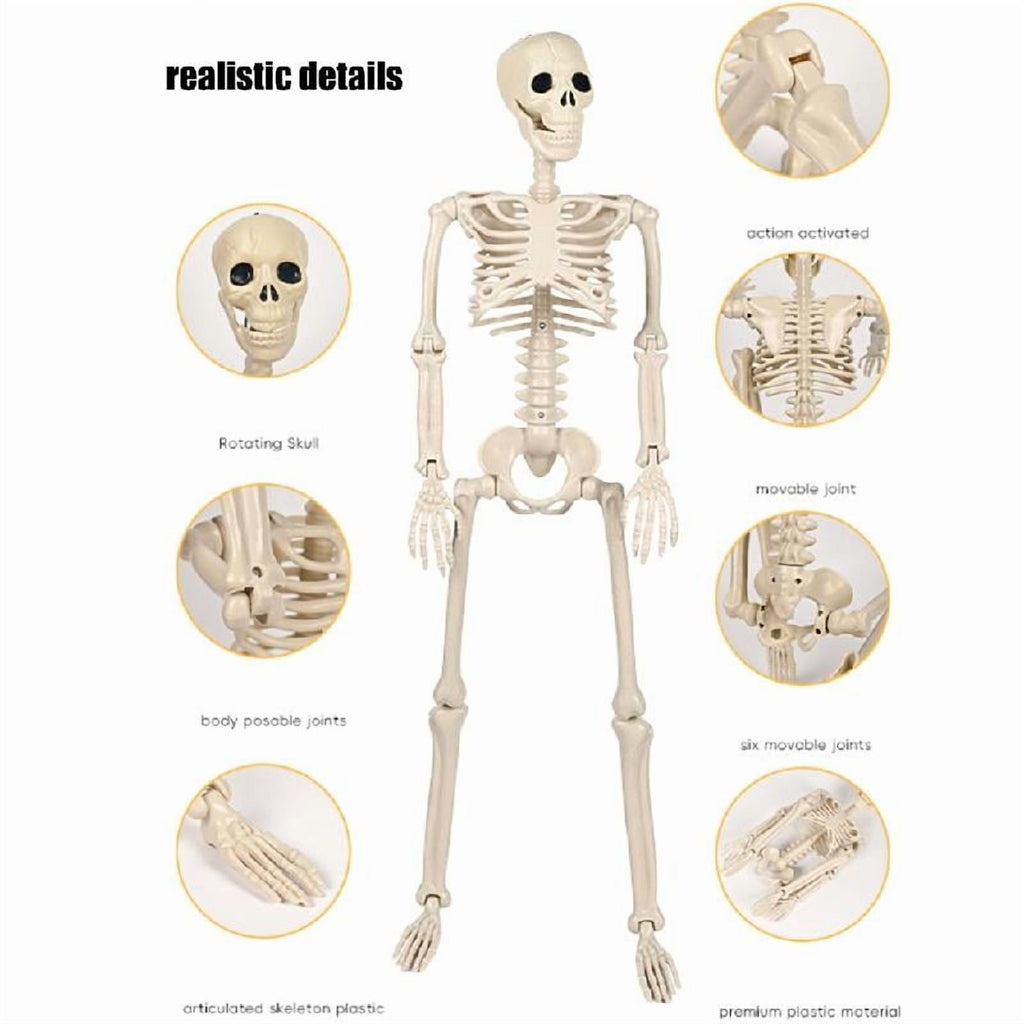 Tizuqe Poseable Halloween Skeleton with Movable Joints Realistic Full Body Bone Ornament Eerie Outdoor and Indoor Decoration
