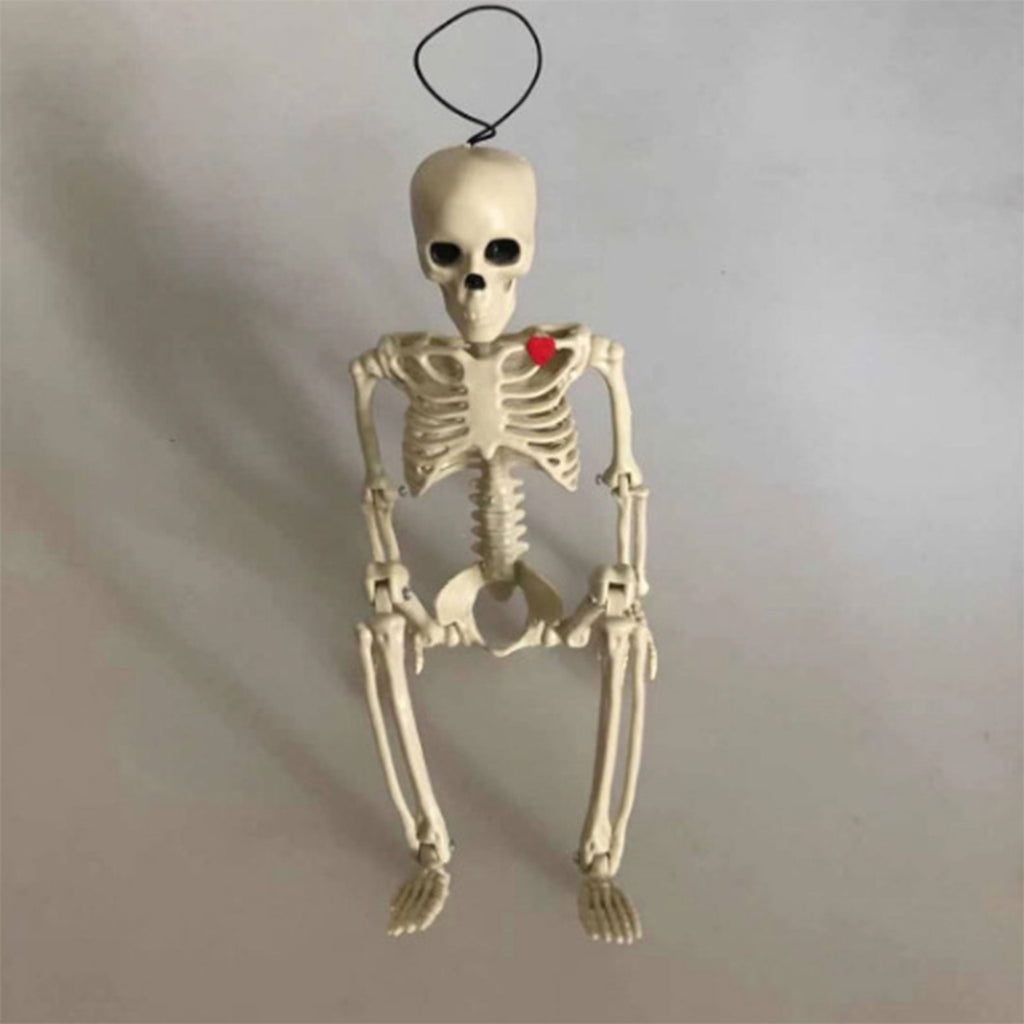 Poseable Halloween Skeleton with Flexible Joints, Sturdy Indoor/Outdoor Party Decor
