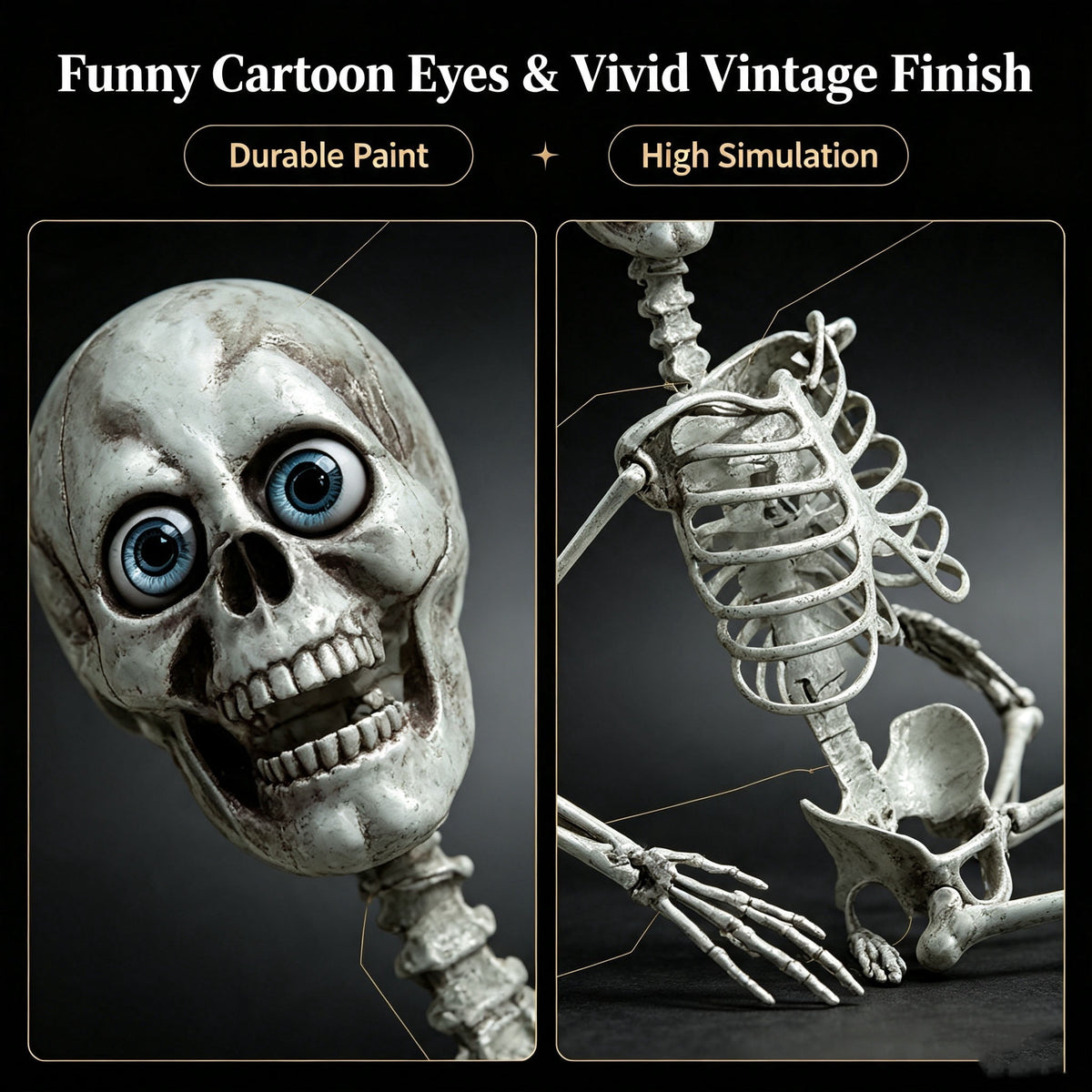 Diceymbol Life-Size Halloween Skeleton27.5Inch Tall Anatomical Model with Skull & Articulated Limbs, Durable Outdoor/Indoor Decoration for Spooky Displays