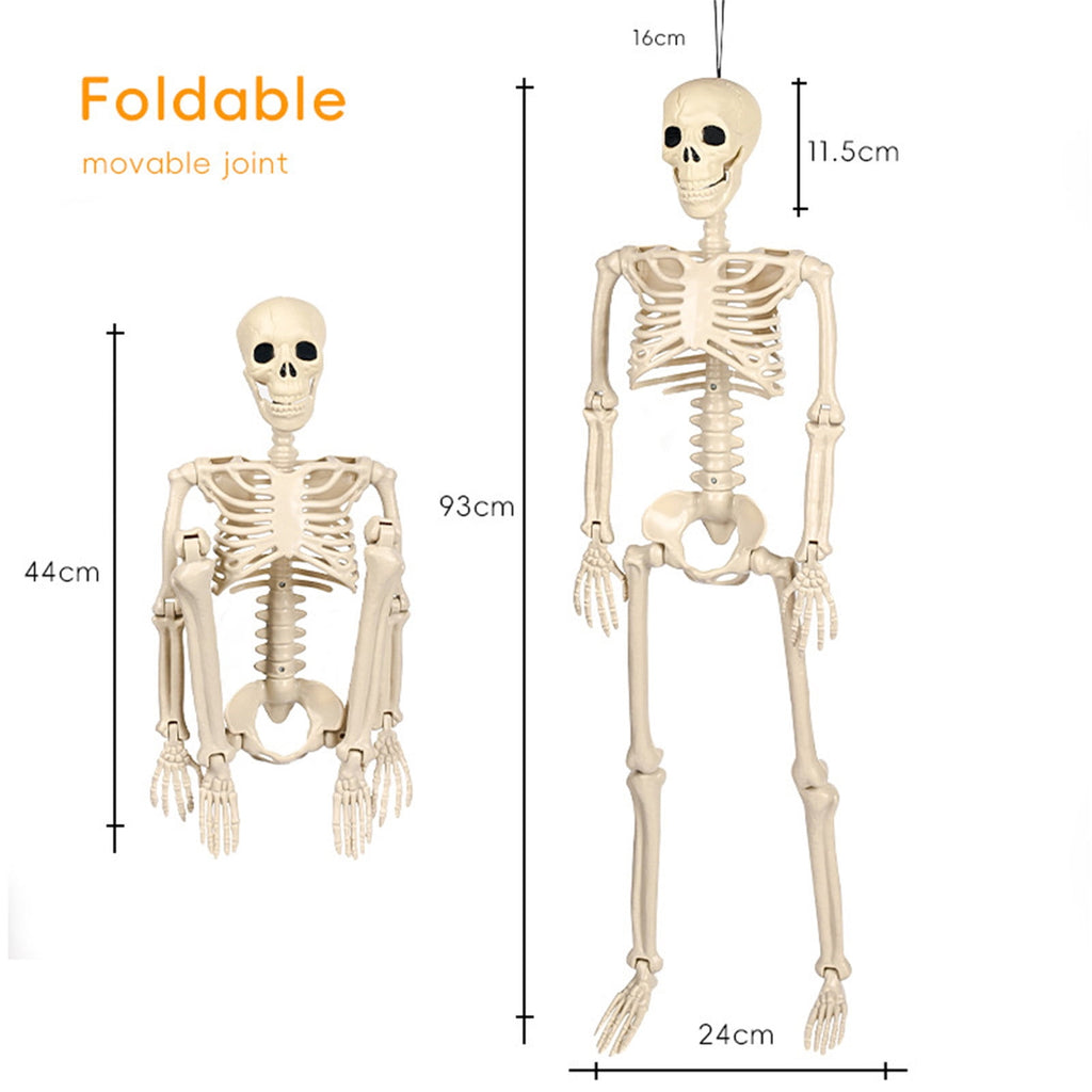 Realistic White Plastic Half Torso Skeleton Tabletop Prop, Detailed Human Half Skeleton Halloween Desktop Decor, Weatherproof Indoor Outdoor Reusable Spooky Party Ornament