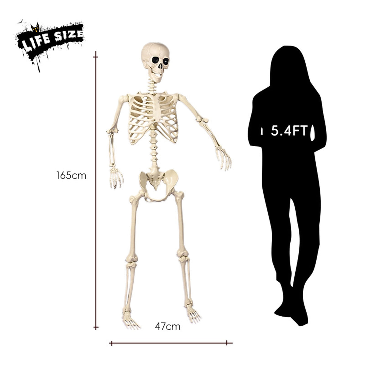 AUHomi 1 PC Halloween Skeleton, 15.7" Full Body Halloween Skeleton Decor with Movable Joints, Party Decorations, Halloween Outdoor Skeleton Decoration, Horror House Graveyard Props (S)
