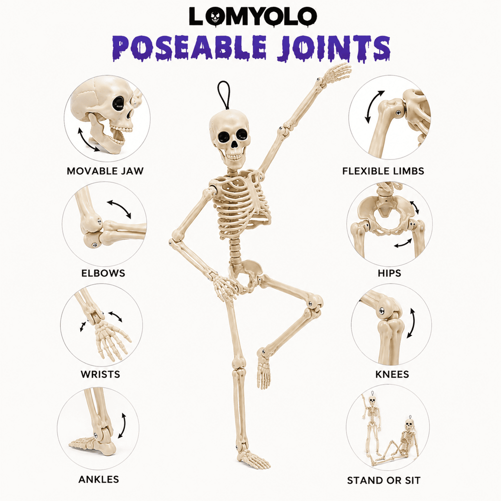 LOMYOLO 4 Pack Halloween Skeleton Decorations, 16 Inch Posable Hanging Skeletons with Movable Joints for Halloween Party, Haunted House, Graveyard, Yard, Porch, Indoor Outdoor Holiday Decorations