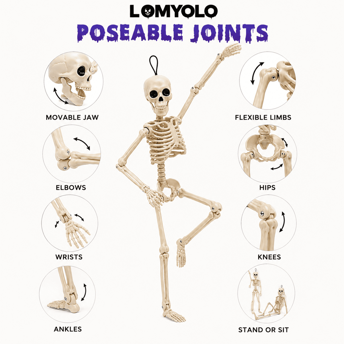 LOMYOLO 4 Pack Halloween Skeleton Decorations, 16 Inch Posable Hanging Skeletons with Movable Joints for Halloween Party, Haunted House, Graveyard, Yard, Porch, Indoor Outdoor Holiday Decorations