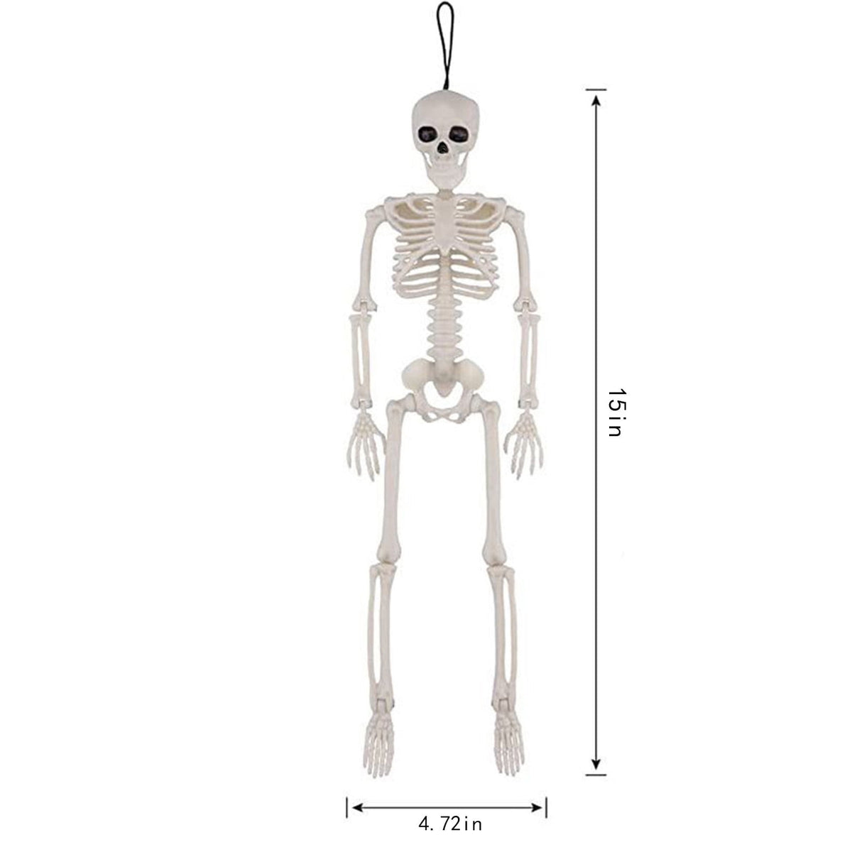 Beautynvta Posable Halloween Skeletons Decor, 15''x4.7'' Small Hanging Skeleton with Movable Joints for Halloween Decorations, Graveyard Props