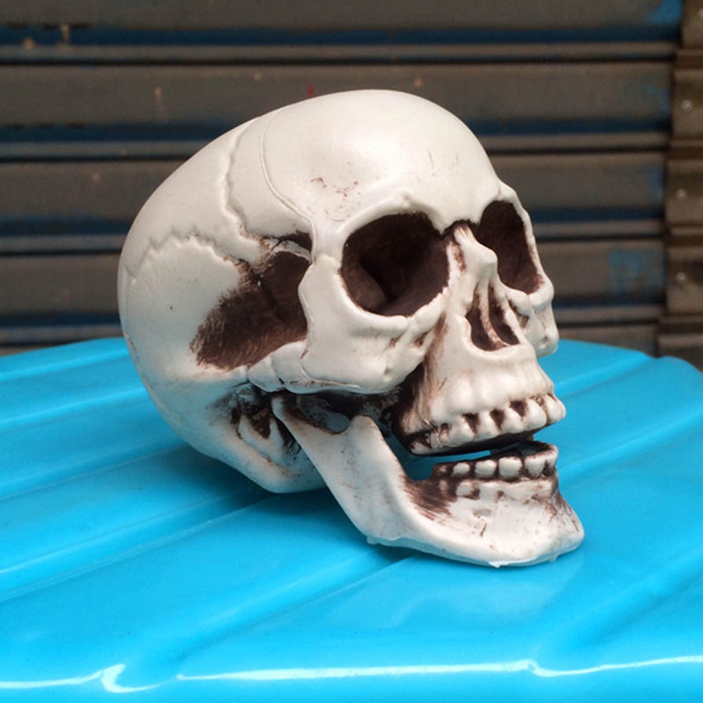 JoyMoreHome Halloween Skull Model Skeleton Halloween Outdoor Decoration Props Halloween Party Supplies