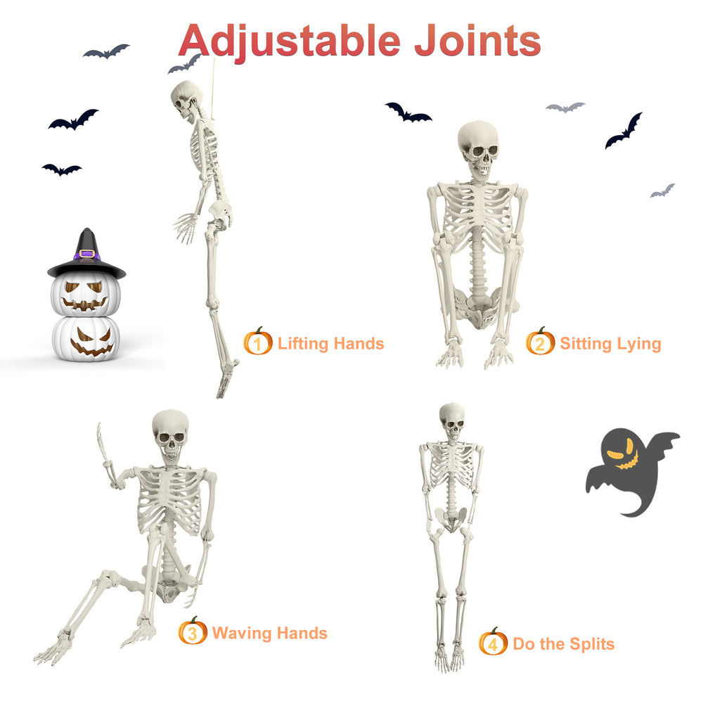 Cixusio 5.4Ft/165cm Halloween Skeleton Full Body Life Size Human Bones with Movable Joints for Indoor Outdoor Haunted House Party Halloween Props Decorations