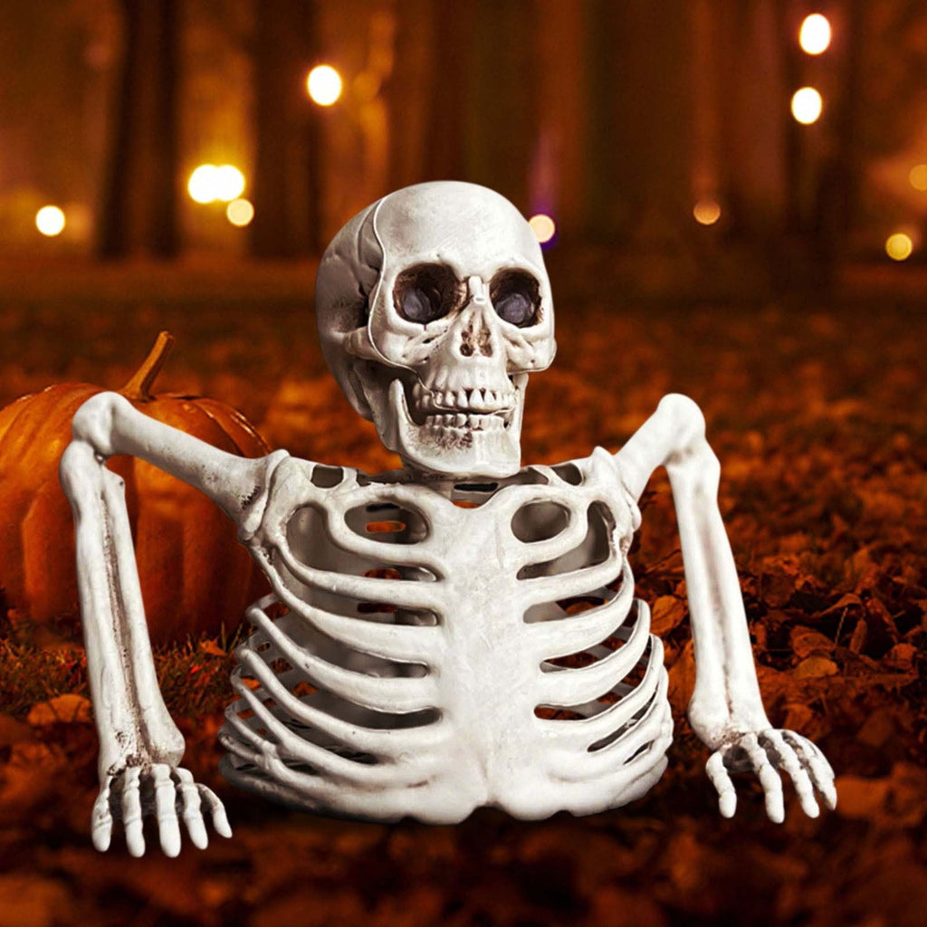 Realistic White Plastic Half Torso Skeleton Tabletop Prop, Detailed Human Half Skeleton Halloween Desktop Decor, Weatherproof Indoor Outdoor Reusable Spooky Party Ornament