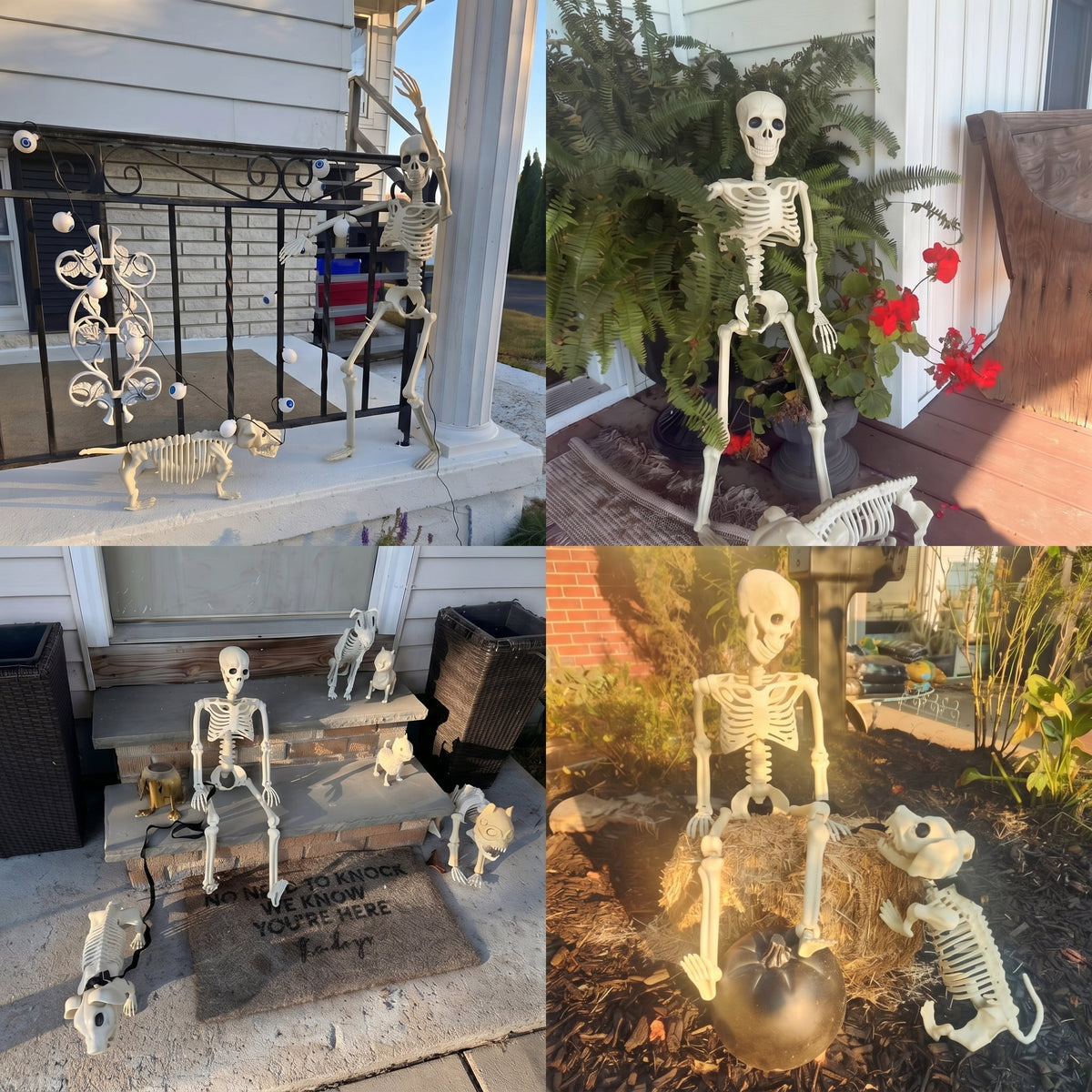 TETOU 2Pcs Halloween Human Cat Skeletons,35.4 Inch Realistic Full Body Movable Posable Skeleton for Halloween Garden Yard Porch Party Haunted Graveyard Indoor Outdoor Decororation