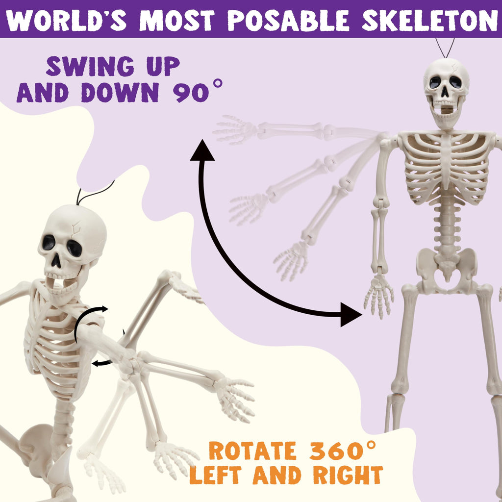 Joyfy 2 Pcs 24 Inch Halloween Skeleton Decor,2 FT Posable Skeleton Halloween Prop for Haunted House Indoor Outdoor Decoration Spooky Decor,Full Body with Movable Joints for Halloween Decoration