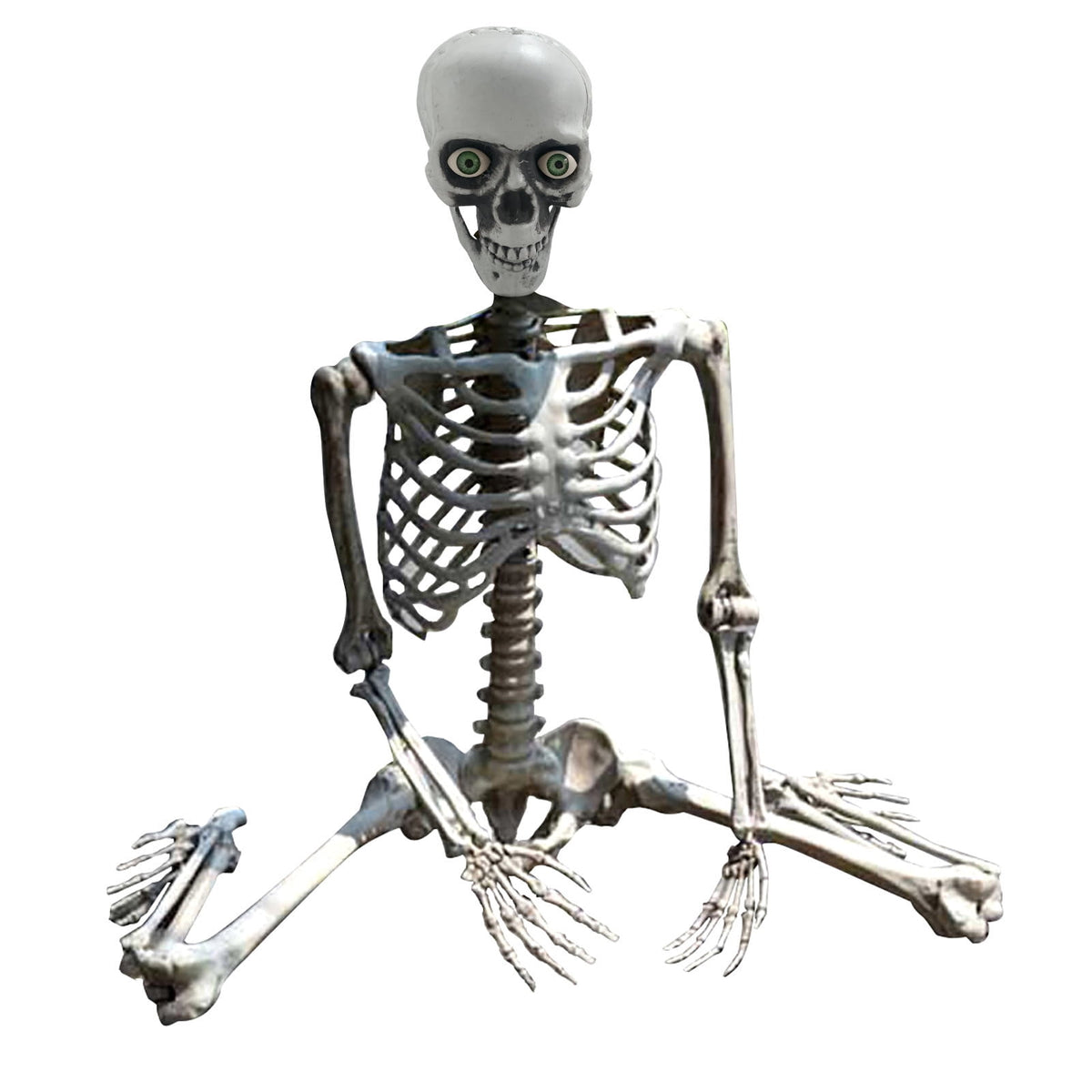 Halloween Skeleton Life Size Full Body Posable Joints Skeletons,Halloween Skeleton Decoration,Human Full Size Skull Hand Life Body Anatomy Model Halloween Decor